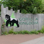 gorillaschild im london zoo
